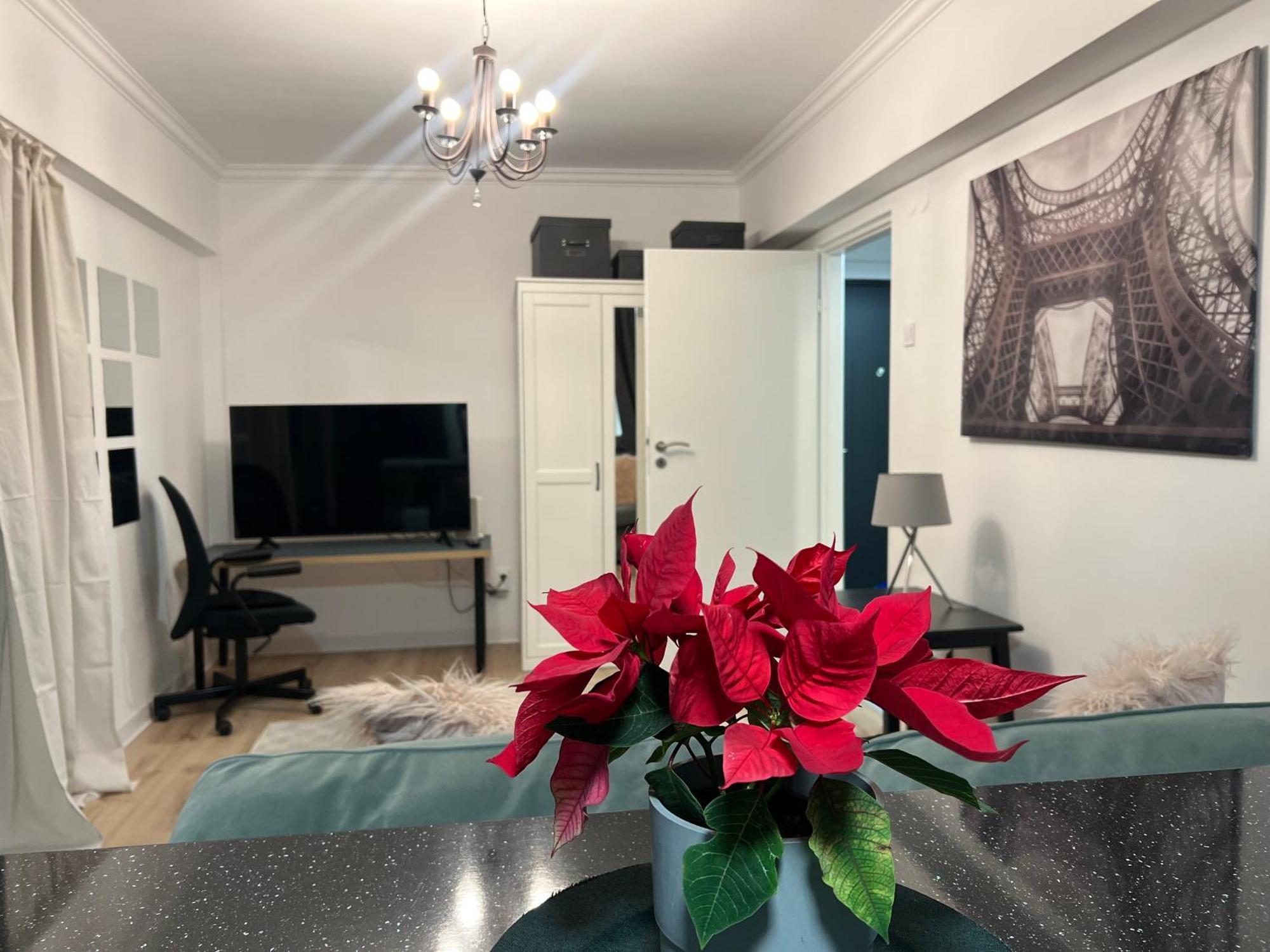 Cosy Studio Floreasca Bukurešť Exteriér fotografie